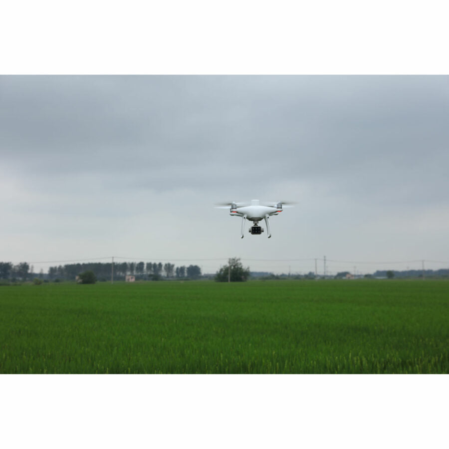 DJI P4 Multispectral Drone