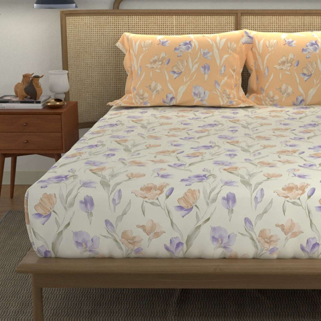 Divine Collection - Cotton Bedsheet With 2 Pillow Covers, Autumn Peach