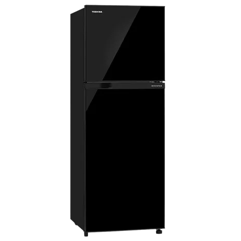 Toshiba 252 L 2 Star Frost Free Real Inverter(Gr-Rt302We-Pmi(Uk, Black, 2022 Model)