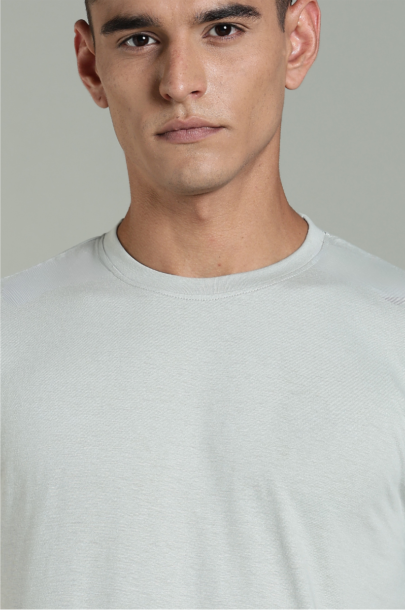 Men Grey Cotton Regular T-Shirt