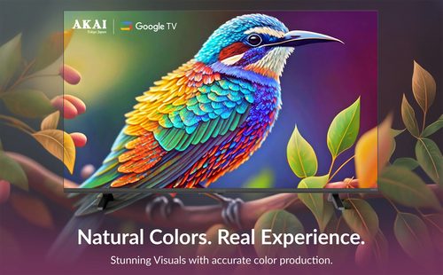 AKAI 139 cm (55) Frameless 4K Ultra HD Smart Google LED TV AL55GU-SFWS (Black)