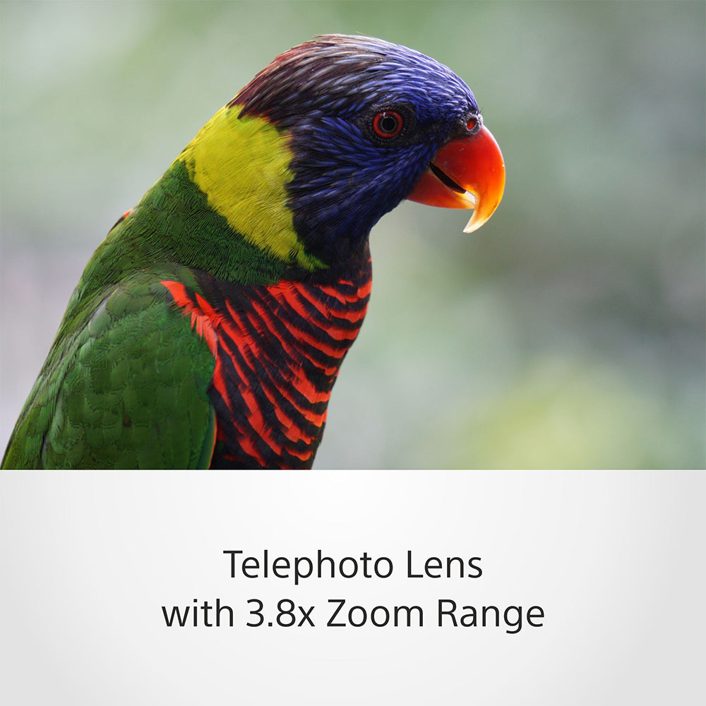 Sony E 55–210 mm F4.5–6.3 OSS (SEL55210) E-Mount Aps-c, Telephoto Zoom Lens