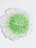 Westside Home Green Lettuce Glass Platter - Large