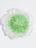 Westside Home Green Lettuce Glass Platter - Medium