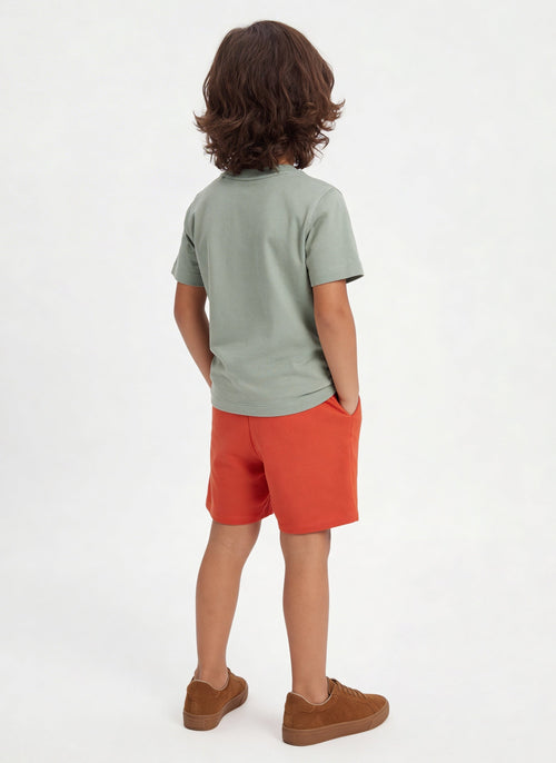 3-Pack HOP Kids Boys Multicolour Printed Cotton T-Shirts - Exclusive
