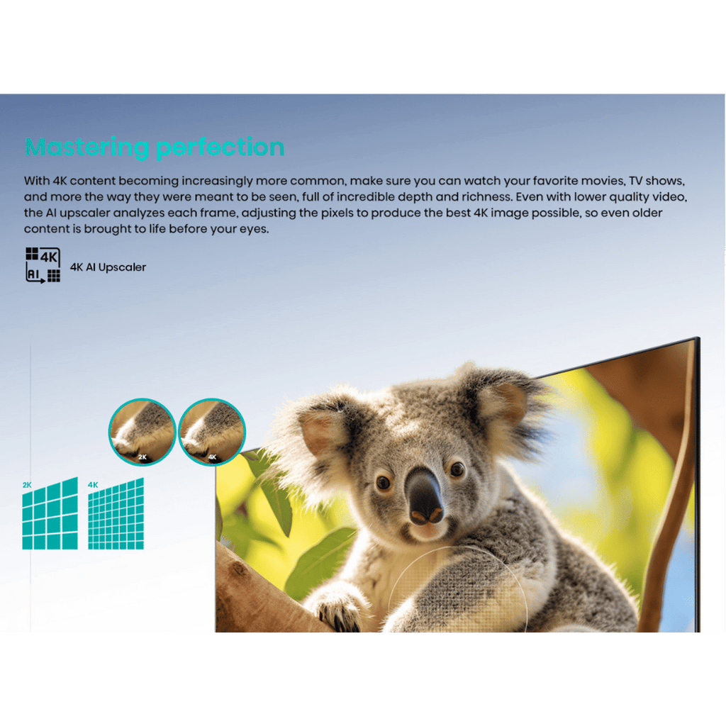 Hisense Q6N 139 cm (55 inch) QLED 4K Ultra HD Google TV with Dolby Vision & Dolby Atmos (2024 model)