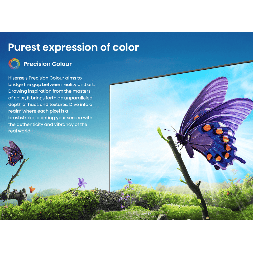 Hisense A65N 139.7 cm (55 inch) LED 4K Ultra HD Google TV with Dolby Vision & Dolby Digital (2024 model)