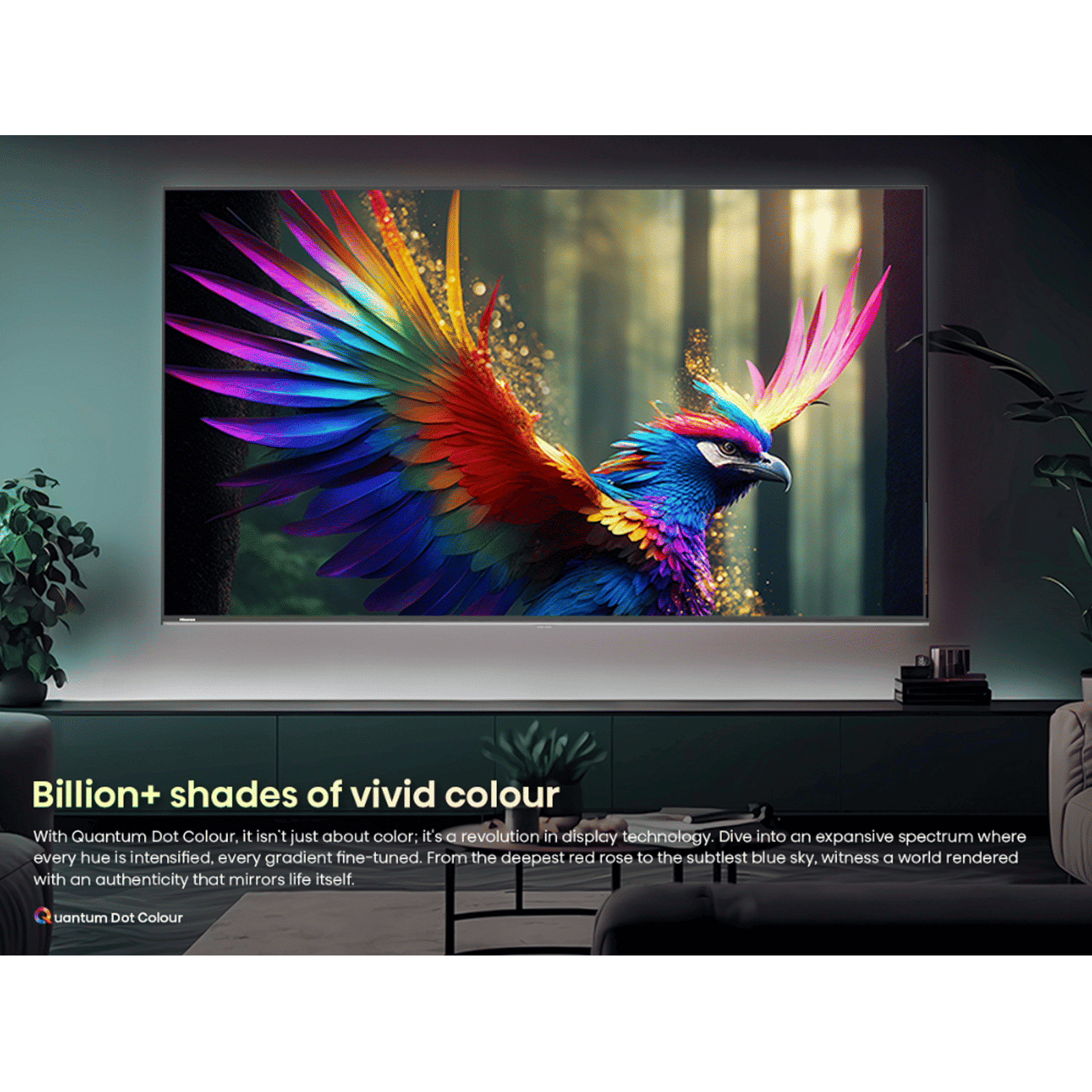 Hisense U6N Pro 139.7 cm (55 inch) 4K Ultra HD Mini LED Smart VIDAA TV with Dolby Vision & Dolby Atmos (2024 model)