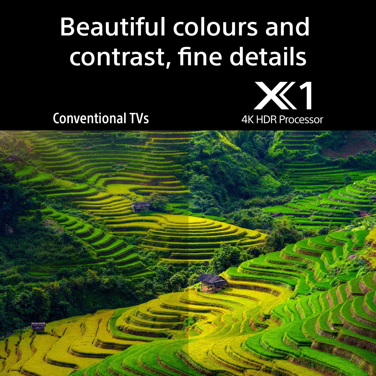 SONY BRAVIA 3 139.7 cm (55 inch) 4K Ultra HD LCD Smart Android TV with Auto Low Latency Mode (2024 Model)