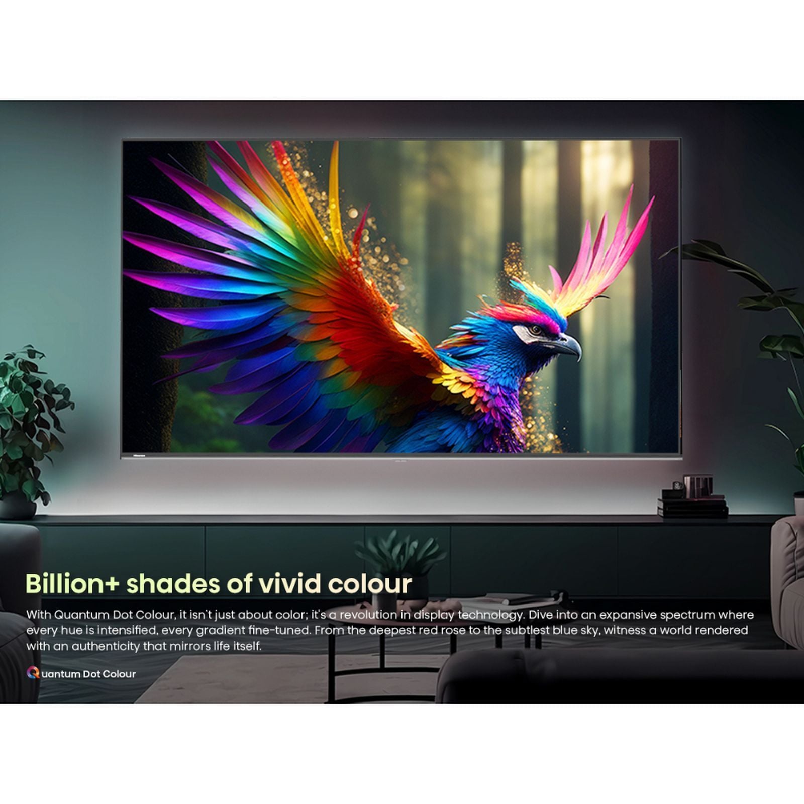 Hisense U6N Pro 165.1 cm (65 inch) 4K Ultra HD Mini LED Smart VIDAA TV with Dolby Vision & Dolby Atmos (2024 model)