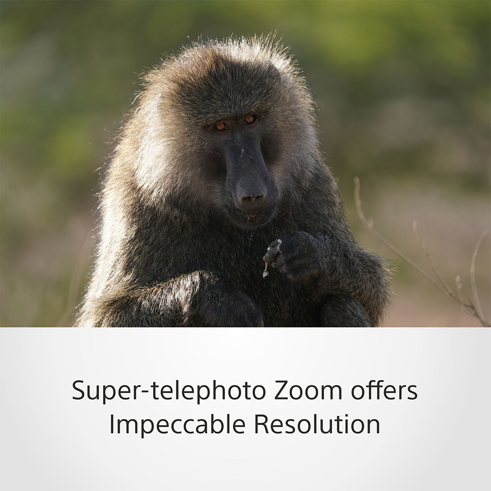 Sony FE 200–600 mm F5.6–6.3 G OSS (SEL200600G) E-Mount Full-Frame, Super-telephoto Zoom G  Lens
