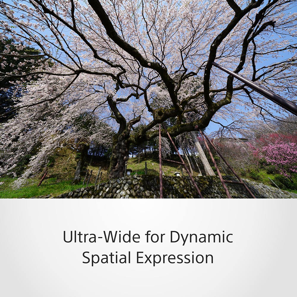 Sony FE 12–24 mm F2.8 GM (SEL1224GM) E-Mount Full-Frame, Ultra-wide-angle Zoom G Master Lens