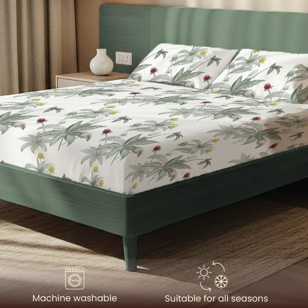 200 TC Glaced Cotton Microfiber Bedsheet with Pillow Covers - Leaf Dreams