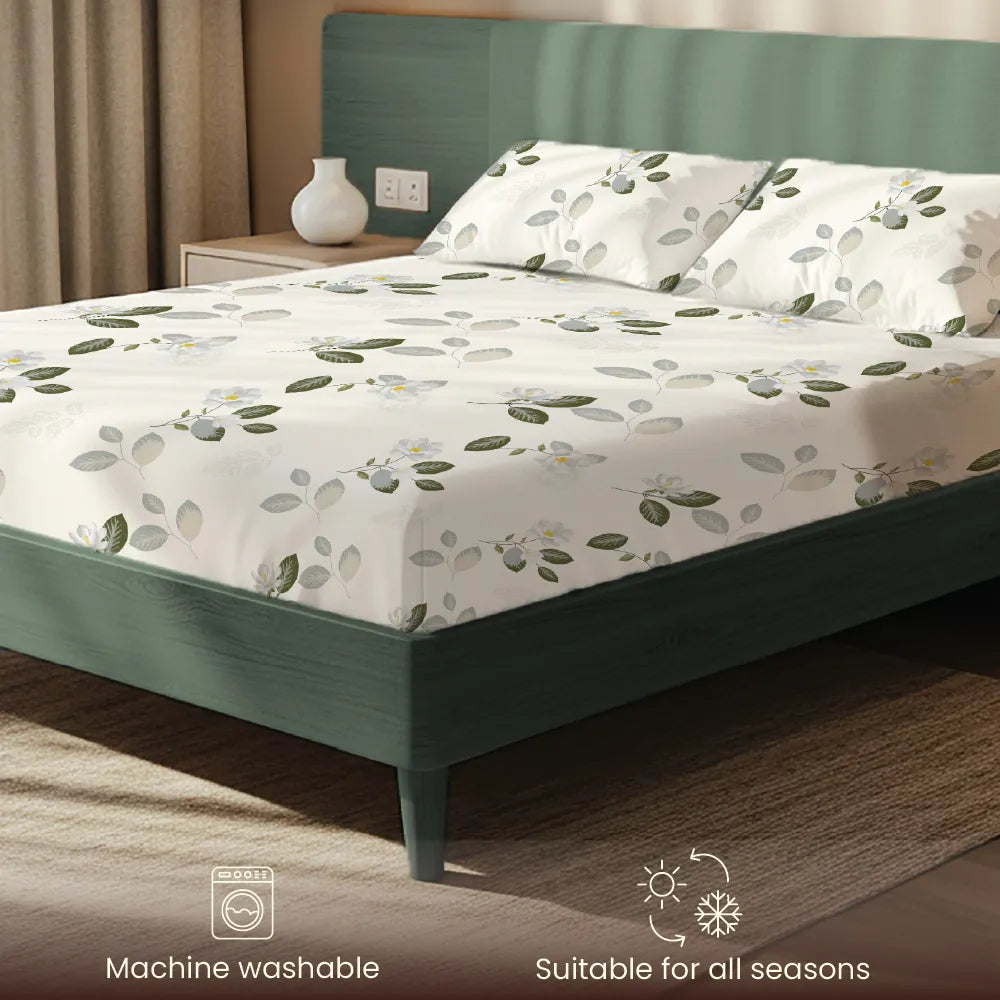 200 TC Glaced Cotton Microfiber Bedsheet with Pillow Covers - Tea Leaves