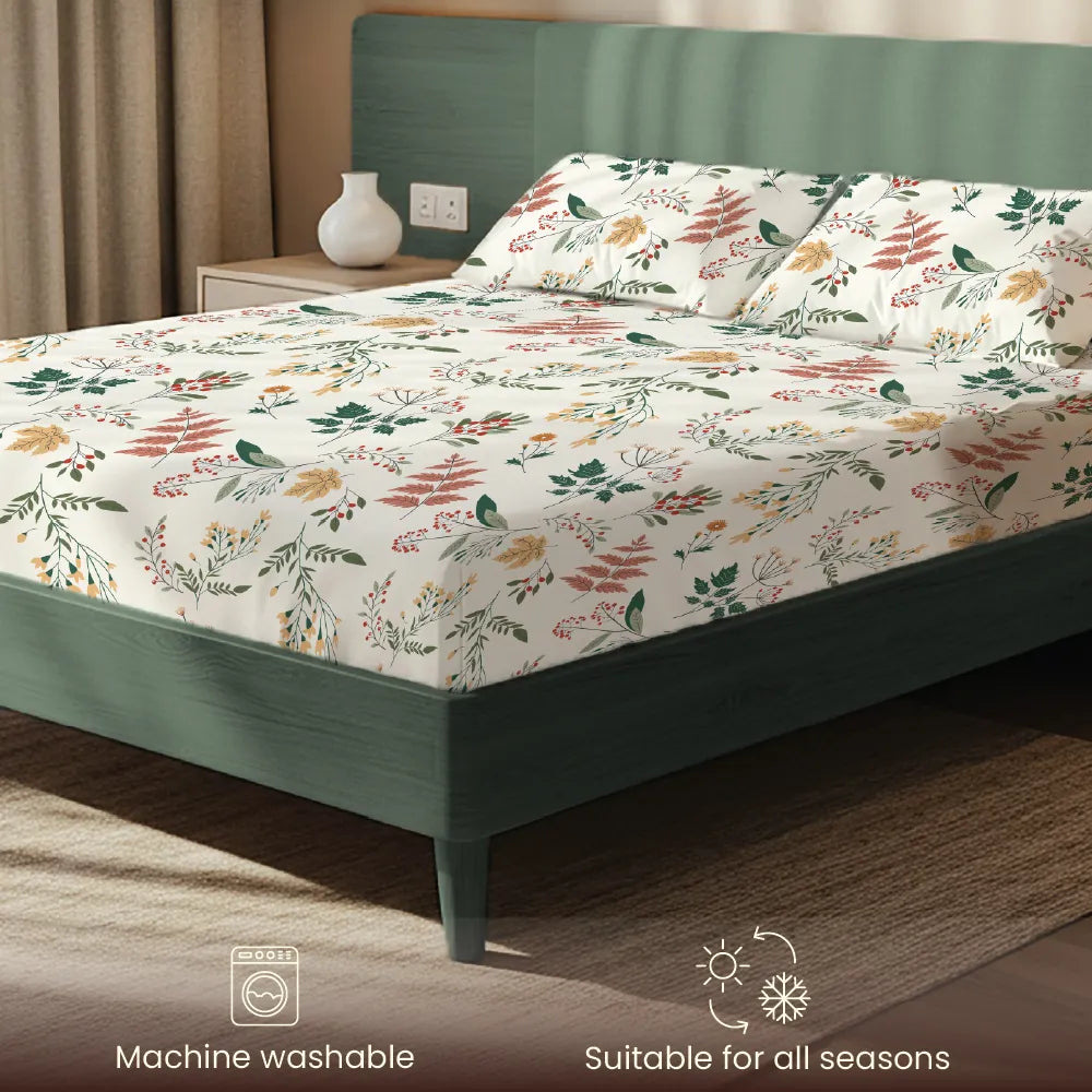 200 TC Glaced Cotton Microfiber Bedsheet with Pillow Covers - Fall Season