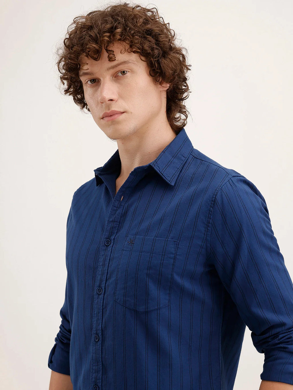 Regular Fit Striped Shirt | Dark Blue