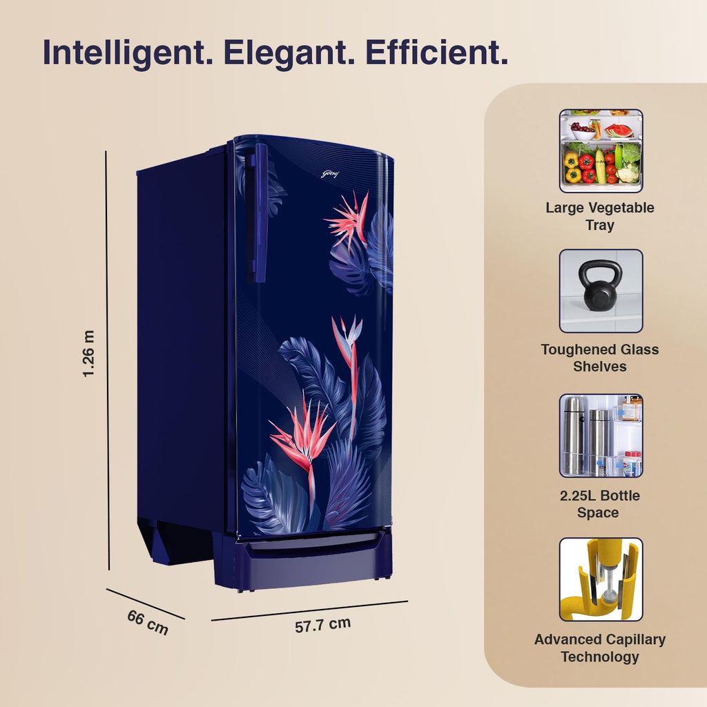 Godrej 183 L 3 Star Farm Fresh Crisper Technology With Jumbo Vegetable Tray Direct Cool Single Door Refrigerator(2023 Model, RD R190C THF FR BL, Floral Blue)