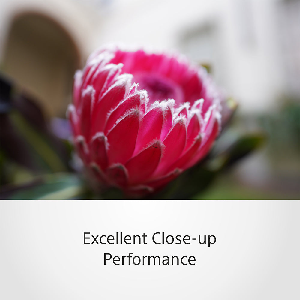 Sony FE 20mm F1.8 G (SEL20F18G) E-Mount Full-Frame, Ultra-wide-angle G Lens