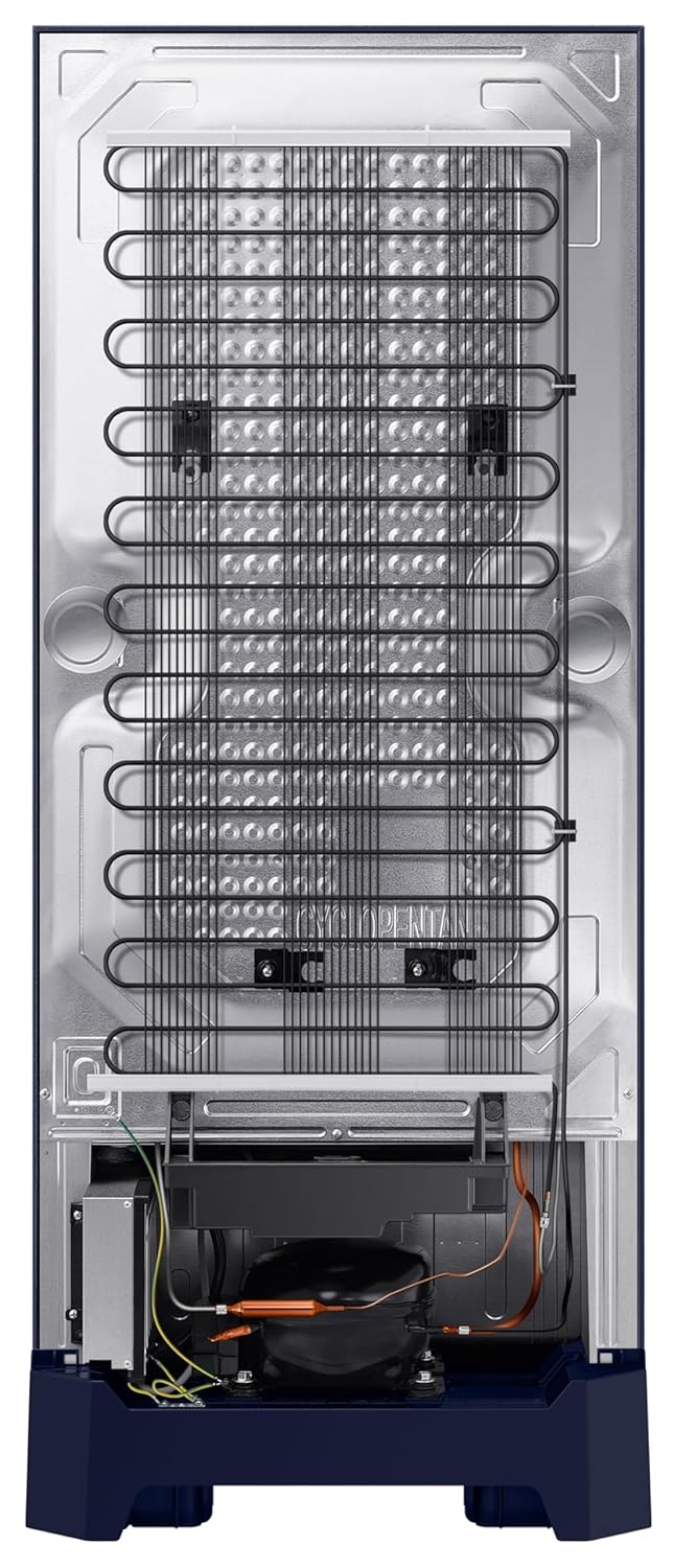 Samsung 215 L, 5 Star, Digital Inverter, Direct-Cool Single Door Refrigerator (RR23D2H359U/HL)