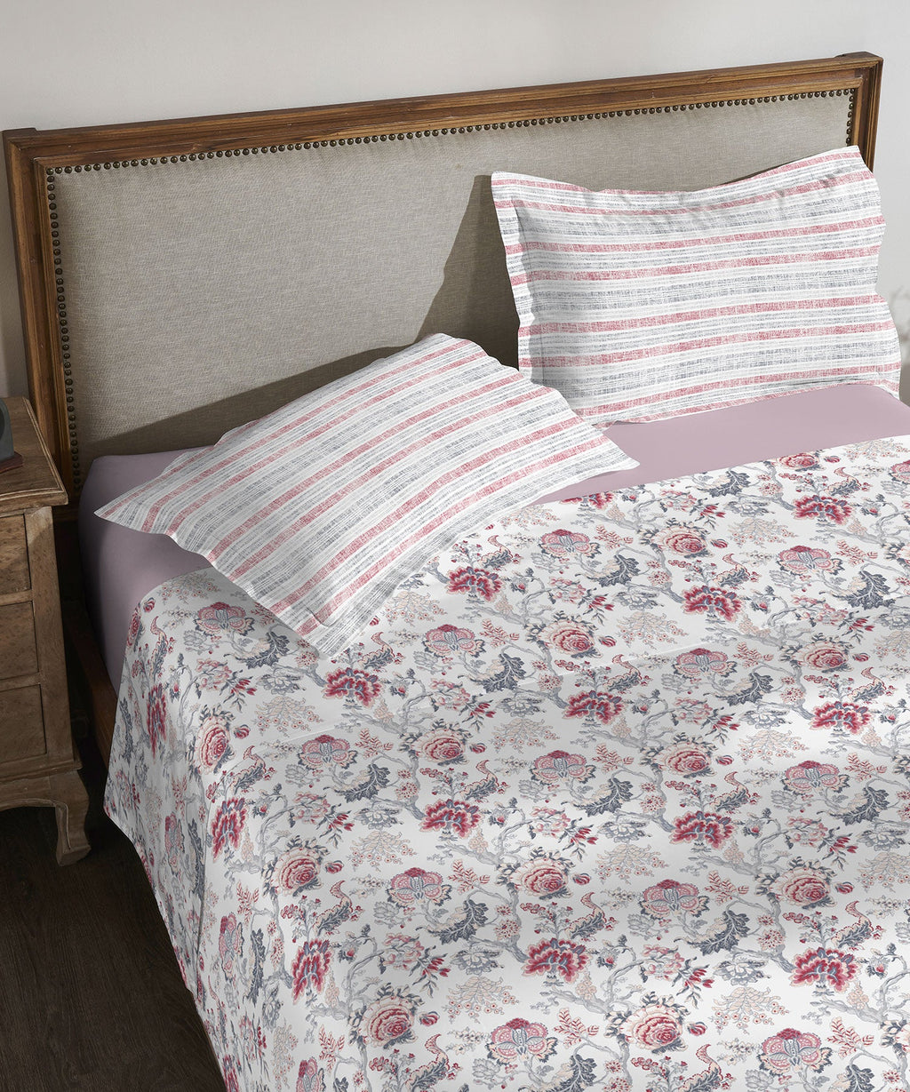 Classic King Bedsheet Set, Anther Pink|200 TC Cotton| 2 Pillow Covers