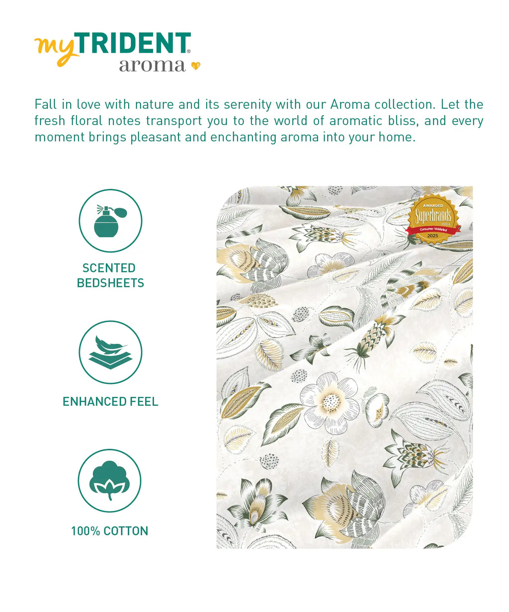 Aroma King Bedsheet Set,Vanilla Fudge|180 TC Cotton|2 Pillow Covers