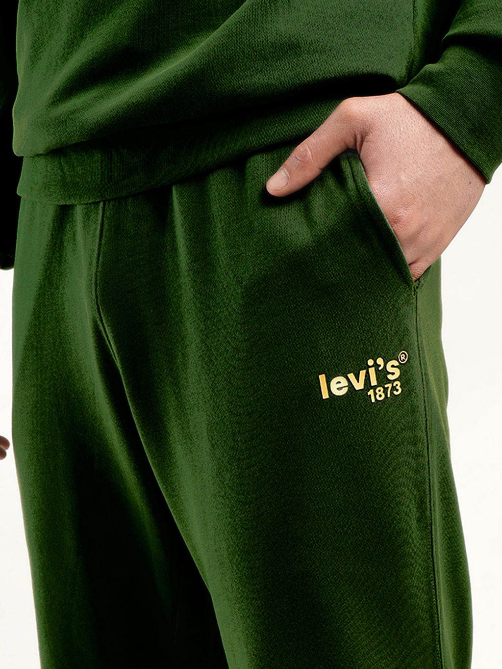 Men's Green Regular Fit Trousers