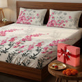 200 TC 100% Cotton Bedsheet Set in Gift Box - Majestic Pink
