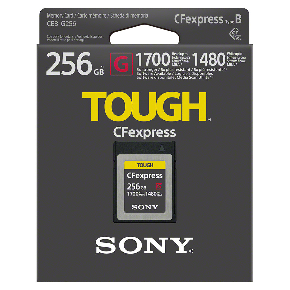 CEB-G Series CFexpress Type B 256 GB Memory Card