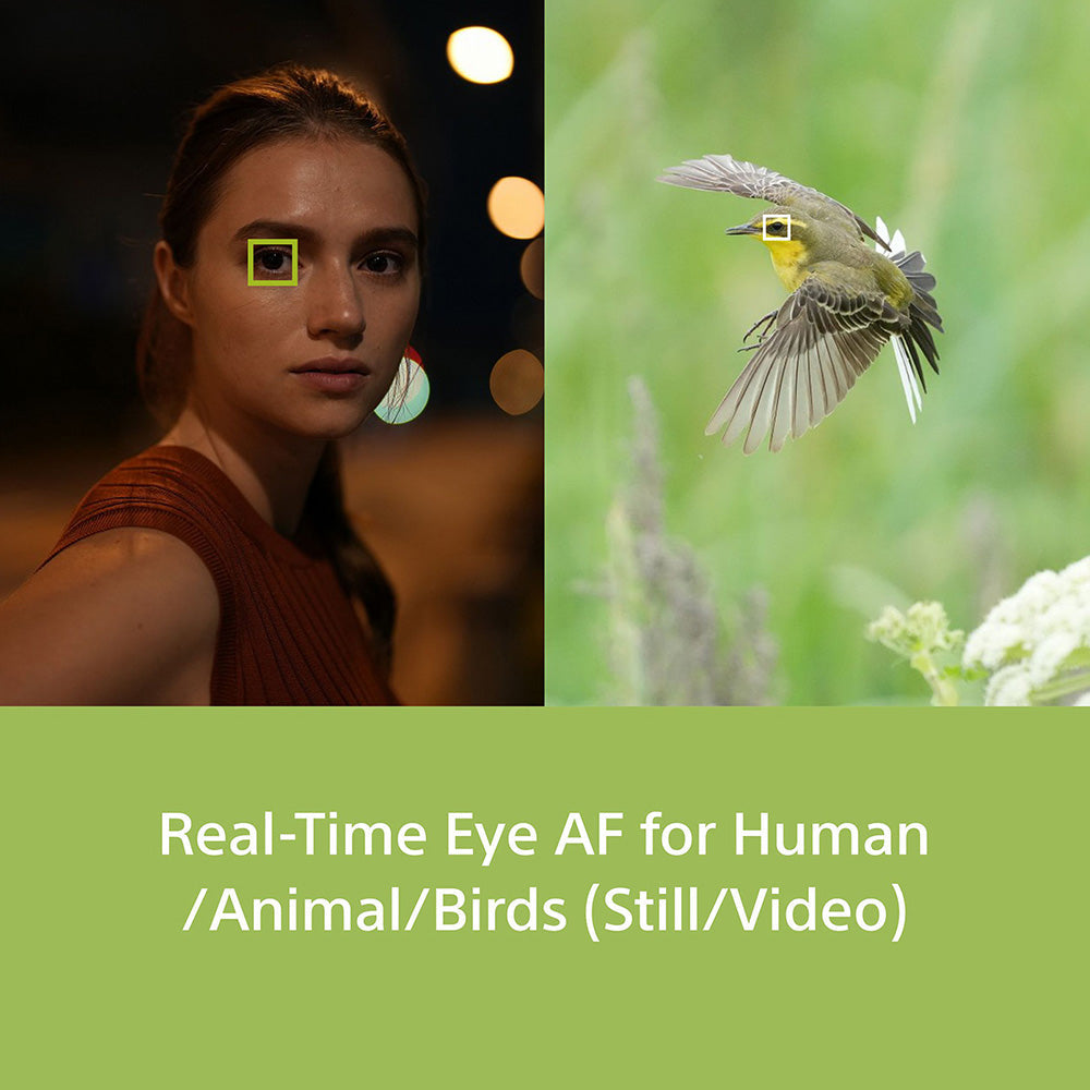 Sony Alpha 7IV Full-Frame Hybrid Camera (ILCE-7M4K) | 33 MP  Mirrorless Camera, 10 FPS, 4K/60p, with 28 -70 mm Zoom Lens