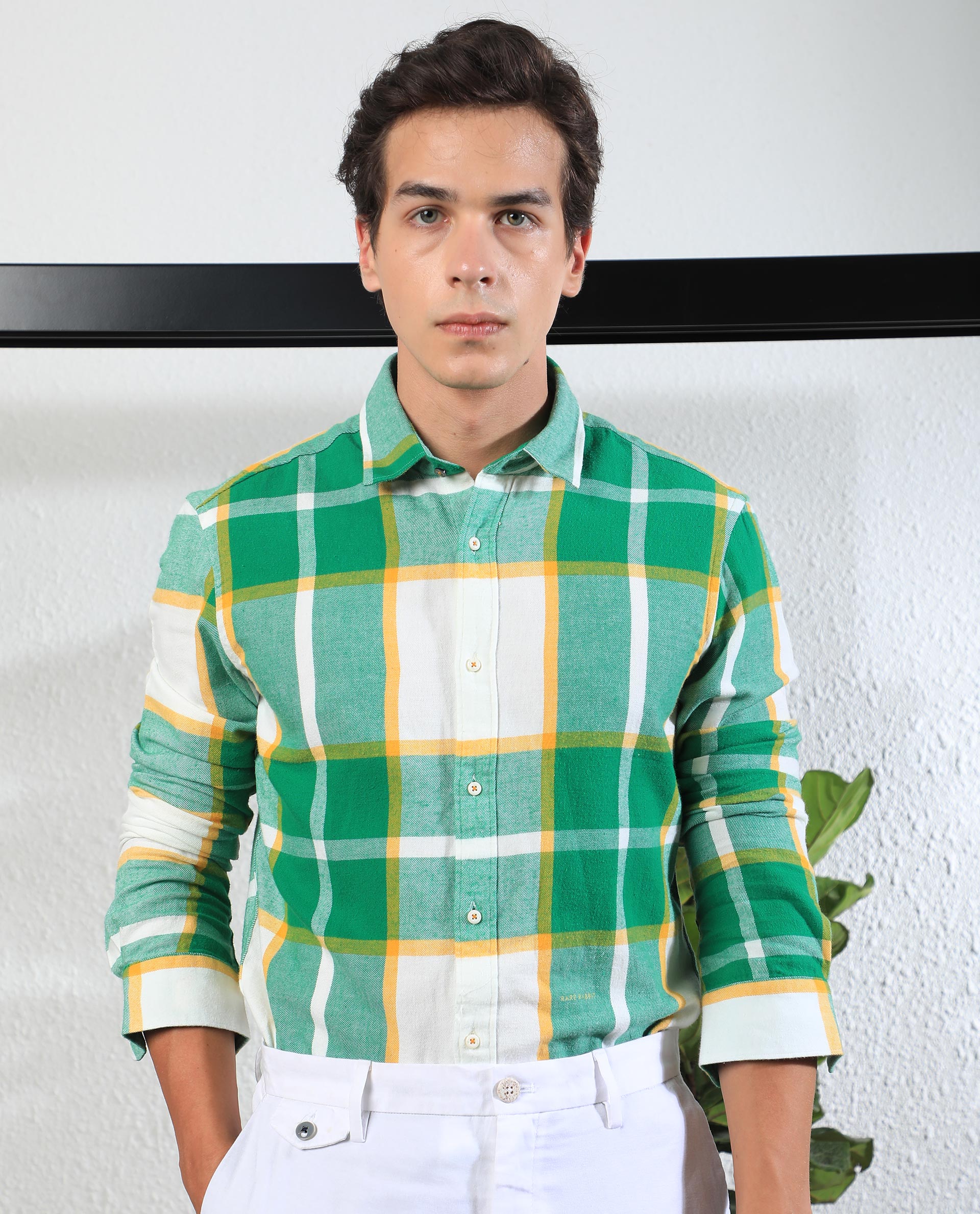 Rare Rabbit Men's Rayo Green Cotton Checked Print Regular Fit Full Sleeve Collared Shirt