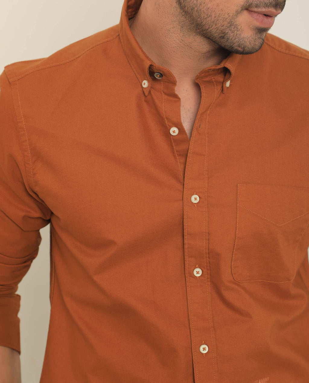 Rare Rabbit Men's Auxfo Rust Cotton Plain Regular Fit Full Sleeve Button-Down Collar Shirt