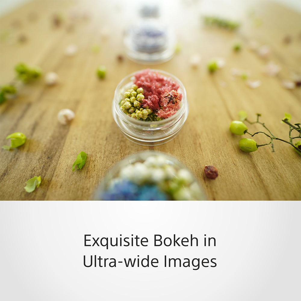 Sony E 11-mm F1.8 (SEL11F18) E-Mount APS-C, Ultra-wide-angle Prime Lens