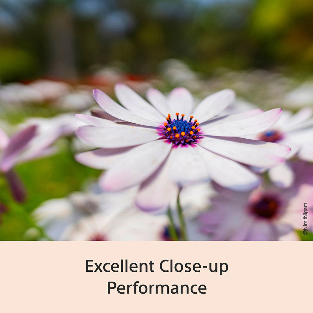 Sony E-mount FE 16 mm F1.8 G Full-Frame Lens (SEL16F18G) I Ultra-Wide | Compact | G Lens Bokeh - Black