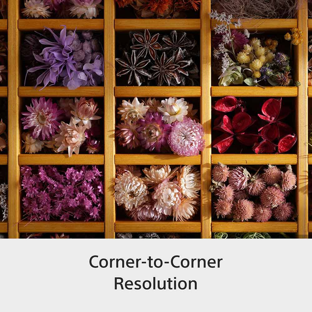 Sony E-mount FE 28-70mm F2 GM Full-Frame Lens (SEL2870GM) I Gorgeous Bokeh I Superb Resolution | Compact and lightweight | Portrait Lens - Black