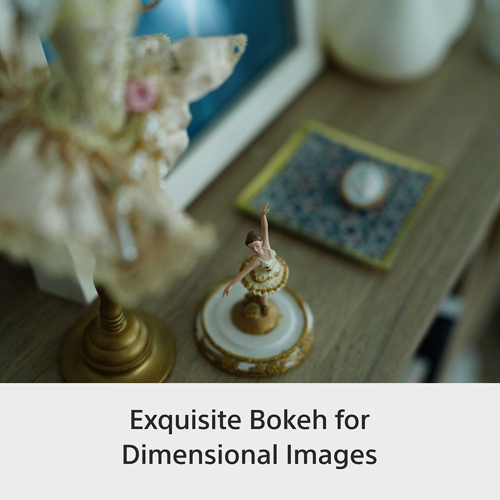 Sony E-mount FE 28-70mm F2 GM Full-Frame Lens (SEL2870GM) I Gorgeous Bokeh I Superb Resolution | Compact and lightweight | Portrait Lens - Black