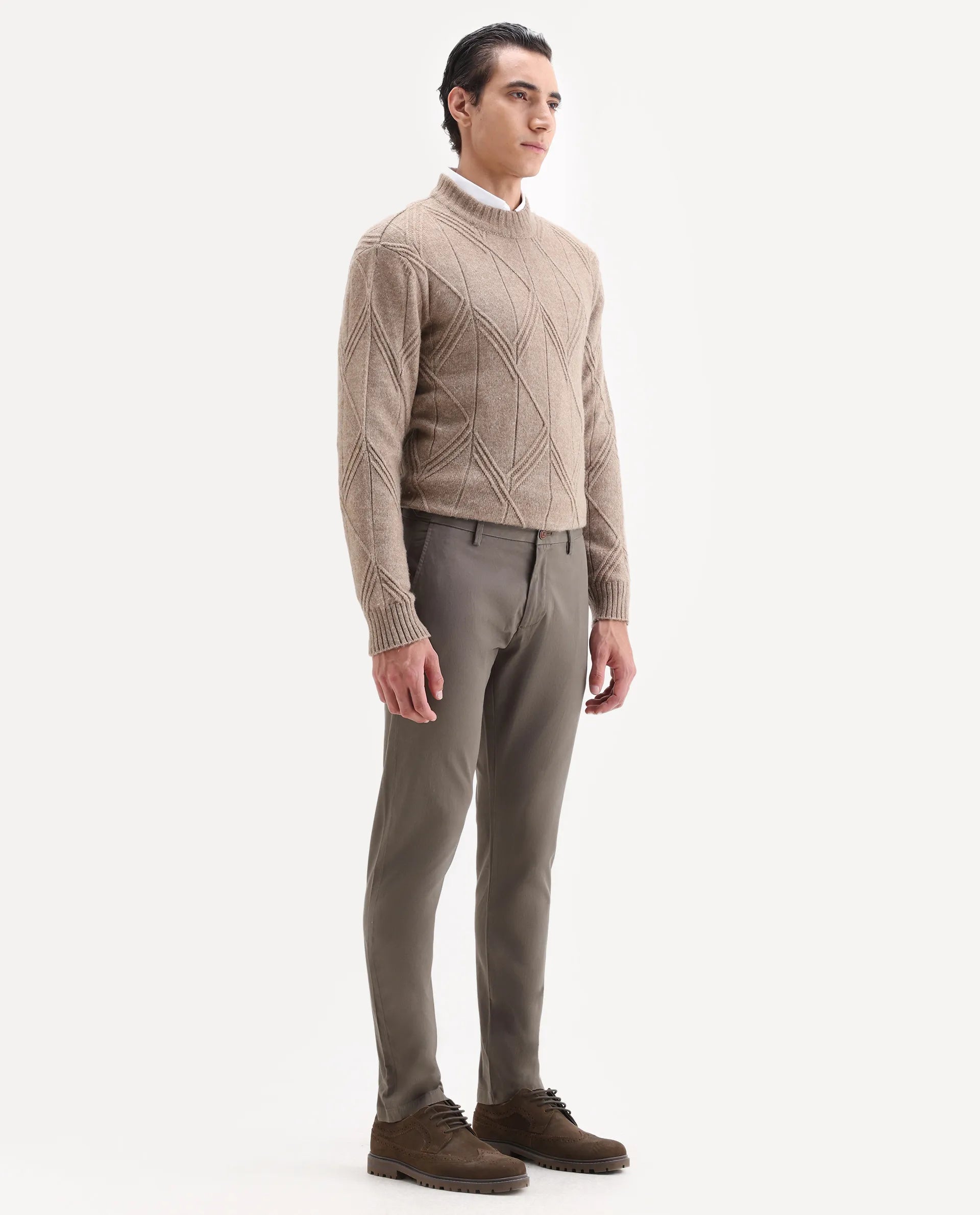 Rare Rabbit Men's Trans Khaki Cotton Plain Regular Fit Trouser
