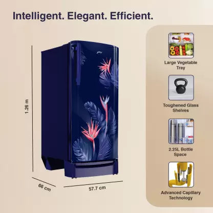 Godrej 183 L 3 Star | Toughened Glass Shelves | 24 Day Farm Freshness | Jumbo Vegetable Tray | Direct Cool Single Door Refrigerator(RD R190C THF FR BL, Floral Blue)